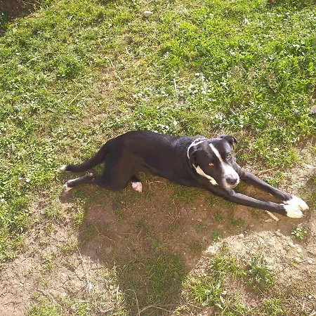 Cielo E Terra Ecoresort Gæstehus