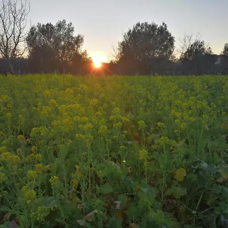 Cielo E Terra Ecoresort *
