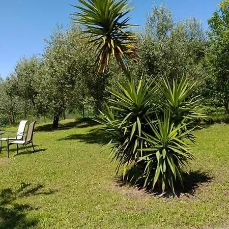 Cielo E Terra Ecoresort Gæstehus Ortona