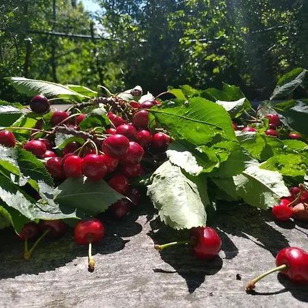 Cielo E Terra Ecoresort