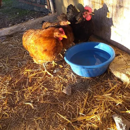 Pensión Cielo E Terra Ecoresort Ortona