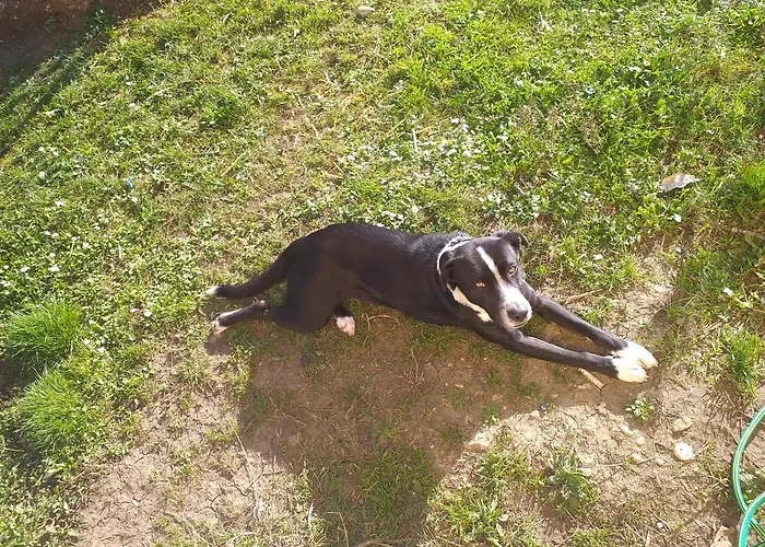 Cielo E Terra Ecoresort בית הארחה