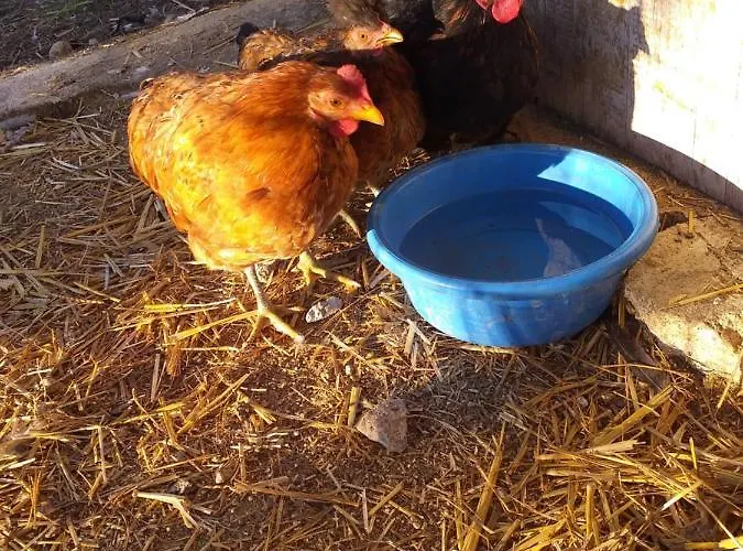 בית הארחה Cielo E Terra Ecoresort אורטונה