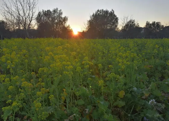 Cielo E Terra Ecoresort *