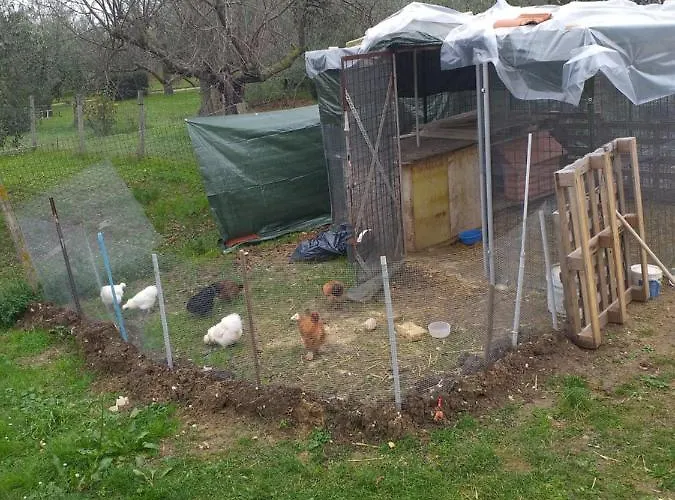 בית הארחה Cielo E Terra Ecoresort *