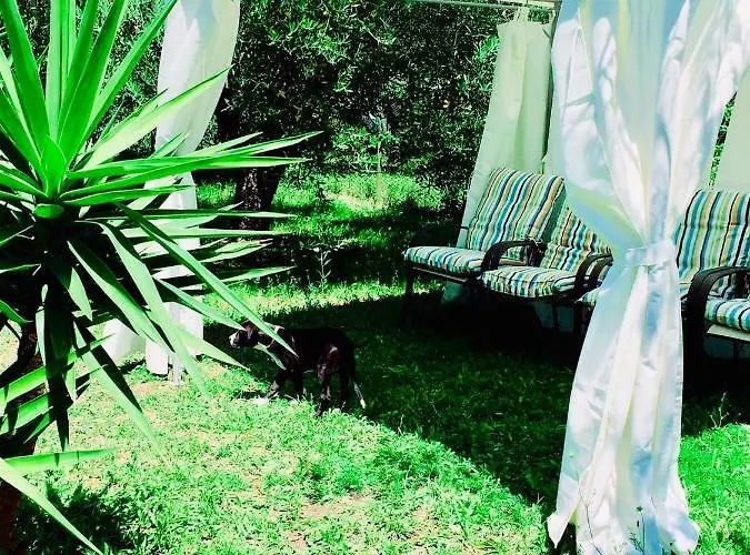 Cielo E Terra Ecoresort בית הארחה