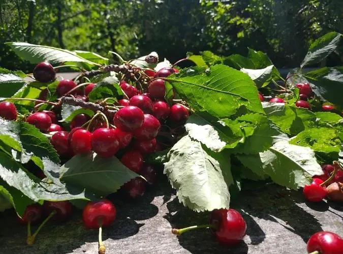 Cielo E Terra Ecoresort